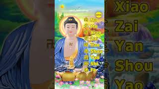 MEDICINE BUDDHA MUSIC  NA MO XIAO ZAI YAN SHOU YAO SHI FO 南无消灾延寿药师佛 [upl. by Proud]