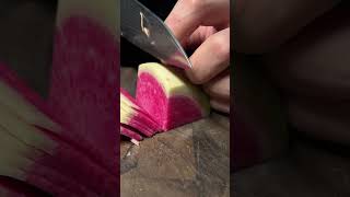 Cutting reddish with a long tail fyp knife knifesharpening ray knifesharpener rui knives [upl. by Conall]