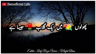 sab shayri [upl. by Lunsford]