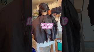 Lice combing long hair l lice services l small business explore hair nomorelice lice [upl. by Orabla]