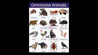 Omnivores Animals Name education shorts shorts learnwithmk5825 [upl. by Sturrock]