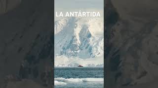 ¡La Antártida en peligro El fin del hielo [upl. by Allerie]