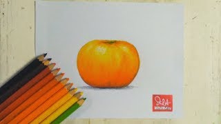 How to draw a Mandarin Orange with color pencils tutorial [upl. by Kariotta678]