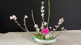 FLOWER ARRANGEMENT IDEAS Ikebana Cherry Blossom Floral Arrangement [upl. by Assenar]