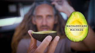 Rob Machados Inspiration Behind The Machadocado 🥑  Firewire Surfboards [upl. by Sandstrom]