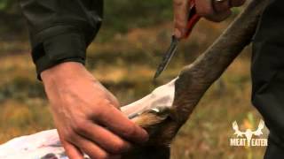 Field Dressing Tips with Steven Rinella  MeatEater [upl. by Okorih]