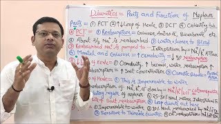 Diuretic Part 02 Parts and Functions of Nephron  Urine Formation Steps  Diuretics Pharmacology [upl. by January]