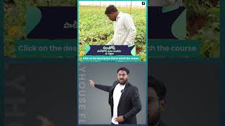 Polyhouse Flower Farming Course Trailer in Telugu  ffreedom app [upl. by Zetta51]