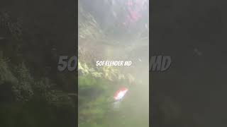 50F FLENDER MD 水中動画 ハンドメイドルアー 渓流ベイト 釣活 troutfishing fishingrod lure peche lure [upl. by Danuloff]