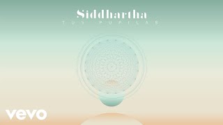 Siddhartha  Tus Pupilas Cover Audio [upl. by Hobart]