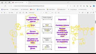 Lac Operon  Try Operon  Transcription control of gene regulation [upl. by Haldan]