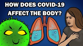 HOW DOES COVID19 AFFECT THE BODY [upl. by Takeo]