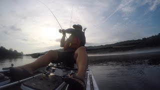 Kayak Bass Fishing  Lake Taneycomo  Aug 2016 [upl. by Rol]