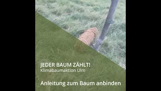 Anleitung zum Baum anbinden [upl. by Ayaros]