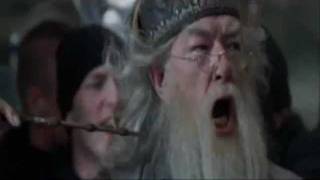 Dumbledore Screaming [upl. by Maryly]