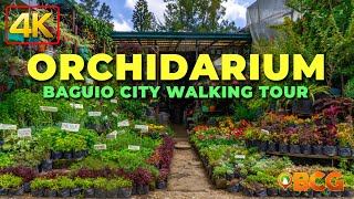 Baguio City Orchidarium Walk  4K Walk for Plantitos and Plantitas [upl. by Imugem]