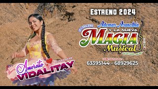 Amorcito Vidalitay La Nueva Magia Musical Video Oficial 2024 [upl. by Emeline]