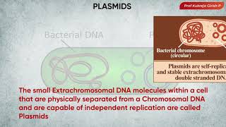 Micro30 Bacterial Cytology  Extrachromosomal DNA  The Plasmid  Kukreja Girish shorts [upl. by Freda118]