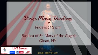 Divine Mercy Novena Day 9 [upl. by Yenffad]