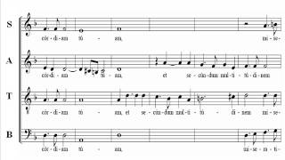 Bass Lotti Miserere Score [upl. by Nuahsed]