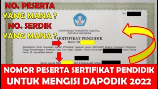 CARA MENGISI NOMOR PESERTA SERTIFIKAT PENDIDIK PADA RIWAYAT SERTIFIKASI DI DAPODIK 2022 [upl. by Leicam]