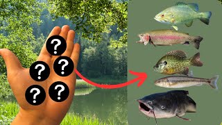 Dont Miss the 5 best MultiSpecies fishing Lures this year [upl. by Seyer]