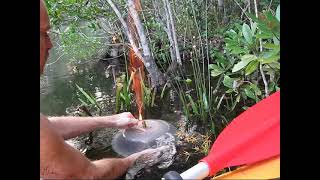 science experiment burning methane swamp gas [upl. by Keverne783]