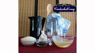 Kombucha Recipe  5 Simple Steps How To Make Kombucha Tea with Kombucha Kamp [upl. by Larrad]