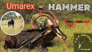 Umarex Hammer 50 Cal Sable hunt in South Africa with Thor slugs [upl. by Aileon]