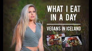 🍉Vegan What I Eat in a Day in Iceland  Adventure Vlog [upl. by Armillas]