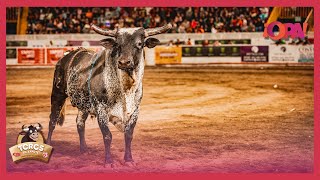 🔴 EnVivo Toros de Zapote  🌤️ Tarde🐂 Lunes 01 de Enero 2024 [upl. by Azilem]