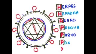 Easy ways to remember DNA viruses in less than 60 seconds [upl. by Aicxela]