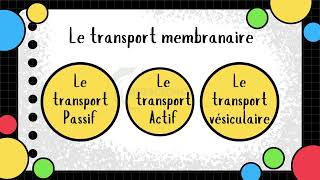 Vidéo 4 Membrane plasmique  Les transports membranaires [upl. by Faye]