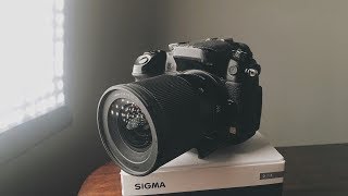 Sigma 16mm F14 MFT  Autofocus in Video [upl. by Zalucki]