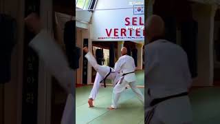 Taekwondo Master Verteidigung mit dem Spazierstock kämpferherz [upl. by Onitnatsnoc]