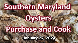 Southern Maryland Oysters Purchase and Cook 01272024 [upl. by Terag]