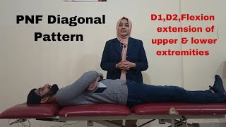 PNF diagonal pattern Part 3 D1 and D2 flexion and extension of upper and lower extremity [upl. by Zedekiah]