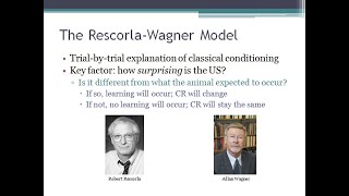 PSYC 370 Video Lecture  The Rescorla Wagner Model [upl. by Lindholm]