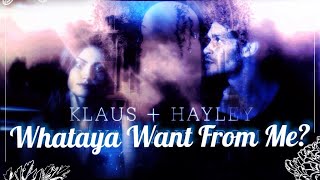 klaus amp hayley  whataya want from me [upl. by Elaina602]