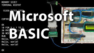 Running MSBASIC on my breadboard 6502 computer [upl. by Aztiram2]