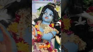 Damodarastakam‼️ damodarastakam iskcon‼️krishna damodar [upl. by Gabriella]