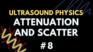 Ultrasound Scatter and Attenuation  Ultrasound Physics  Radiology Physics Course 8 [upl. by Avigdor]