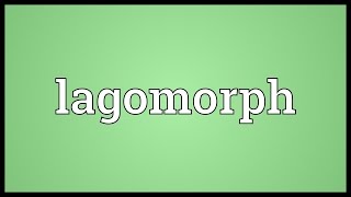 Lagomorph Meaning [upl. by Jenette]