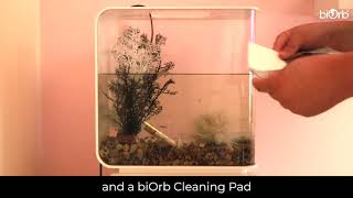 biOrb FLOW 30L Complete Cleaning Guide [upl. by Kcirrad]