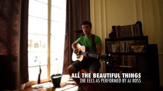 ALL THE BEAUTIFUL THINGS – EELS [upl. by Mehsah]