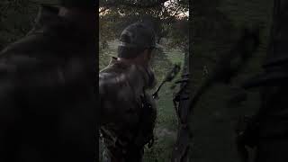 Was this a good shot bowhunting [upl. by Cudlip]