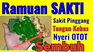 Resep SAKTINyeri OtotSakit PinggangTangan Kebas Sembuh Secara Alami Manfaat daun kelor dan Jahe [upl. by Casady]