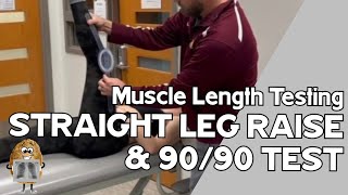 MLT Hamstrings Straight Leg Raise AND 9090 Test [upl. by Alyk545]