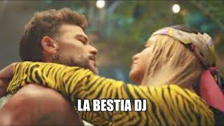 CASUALIDAD  SOFIA REYES FT PEDRO CAPO REMIX  LA BESTIA DJ [upl. by Burnsed]