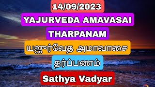 14092023 YAJURVEDA AMAVASAI THARPANAM யஜுர்வேத அமாவாஸை தர்ப்பணம் WITH TAMILENG SUBTITLES [upl. by Enyluqcaj813]